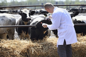 Veterinarian